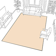 Everyday Area Rug (Set as H3 Tag)