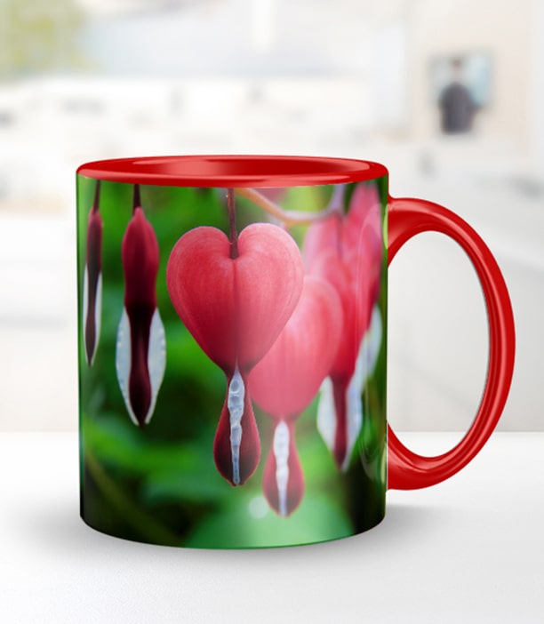 Red Photo Mug