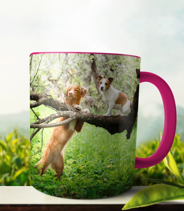 Pink Photo Mug