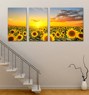 Triptych Canvas 